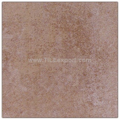 Floor_Tile--Porcelain_Tile,600X600mm[SS],66001_1